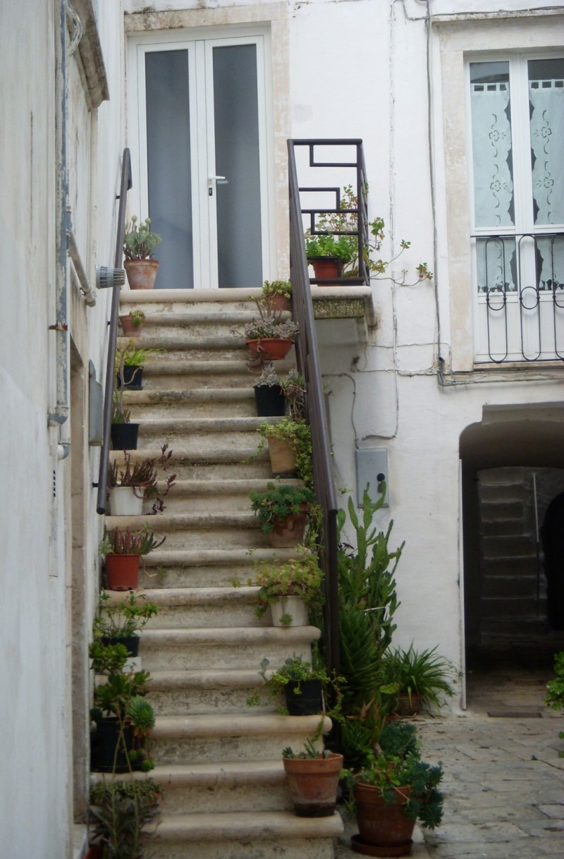 outside stairway with potted plants